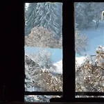 Apartamento Du Petit Bois *