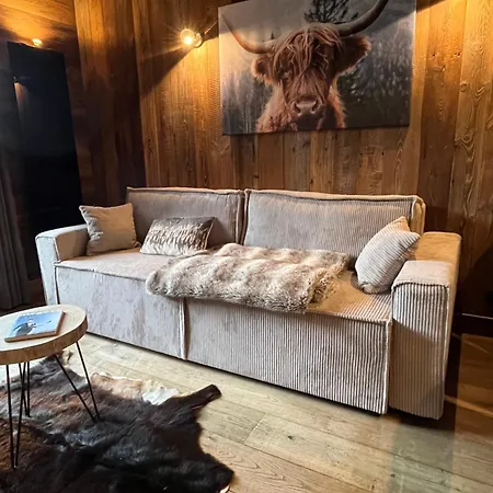 Du Petit Bois Appartement Megève