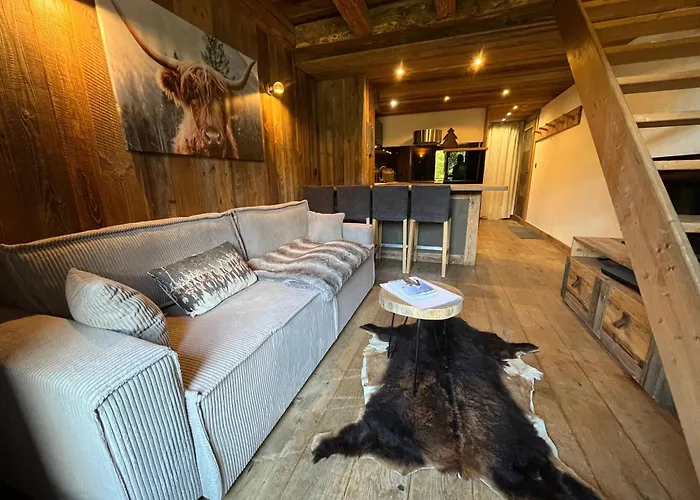 Du Petit Bois Appartement Megève