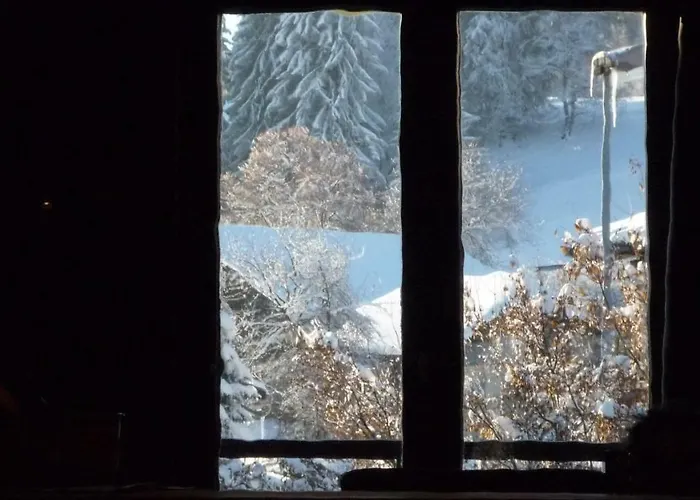 Appartement Du Petit Bois *